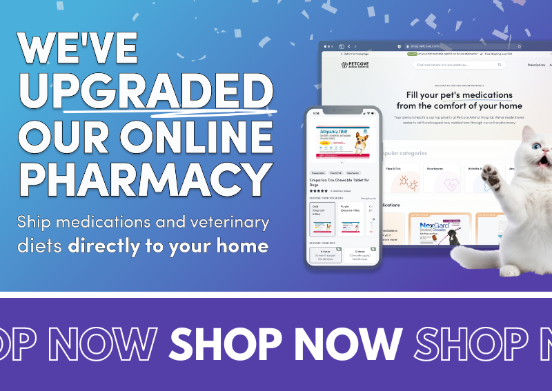 Carousel Slide 1: Click to Order Food & Meds Online!