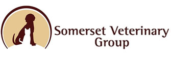 Link to Homepage of Somerset Veterinary Group